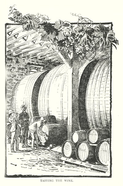 Dégustation du vin (gravure) - English School