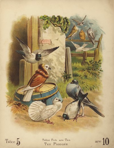 Dix pigeons (chromolitho) - English School