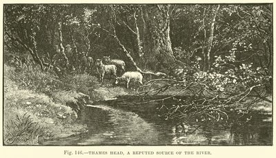 Source de la Tamise, une source réputée de la rivière - English School