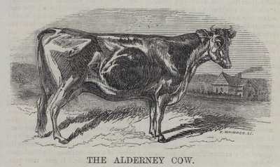 La Vache d