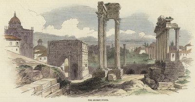 Le Forum antique - English School