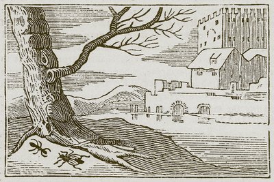 La fourmi et la mouche (gravure) - English School