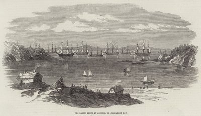 La flotte baltique à l