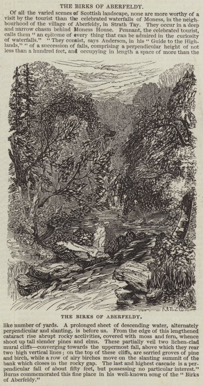 Les Bouleaux d