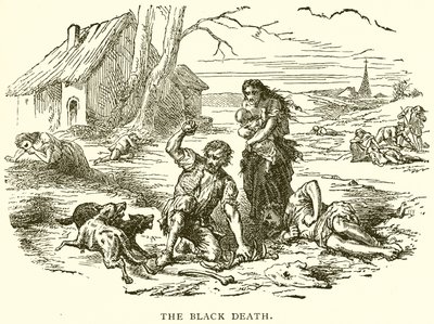 La peste noire - English School
