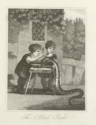 Le serpent noir - English School