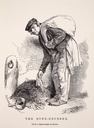 Le ramasseur d