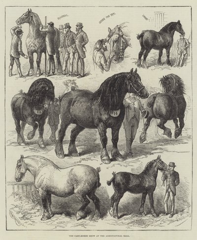Le salon du cheval de trait au hall agricole (gravure) - English School