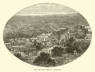 La campagne autour de Béthanie - English School