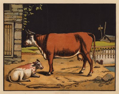 La Vache - English School