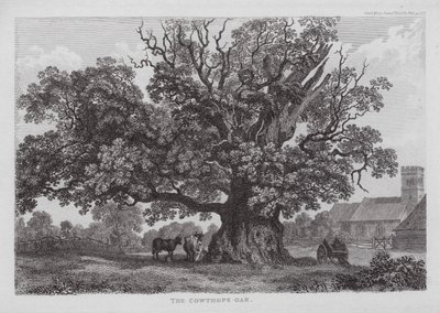 Le chêne de Cowthope (gravure) - English School