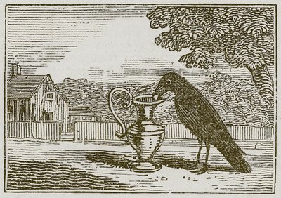 Le corbeau et la cruche (gravure) - English School