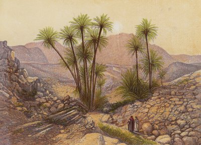 Le désert du Sinaï - English School