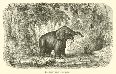 Le Dinothère, restauré (gravure) - English School