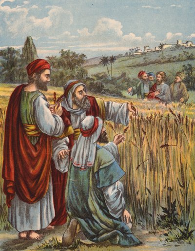 Les disciples cueillant du blé - English School