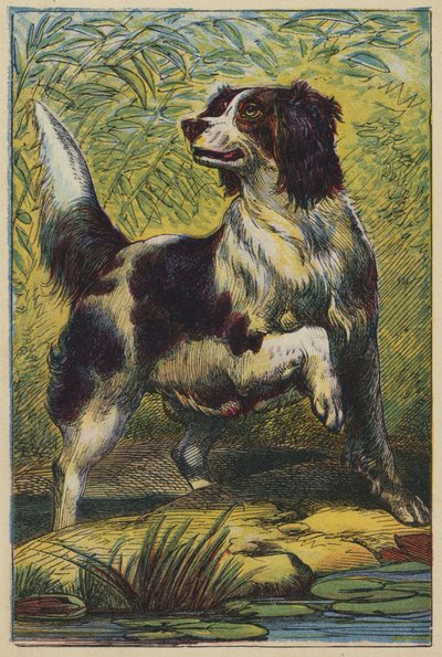 Le Chien - English School