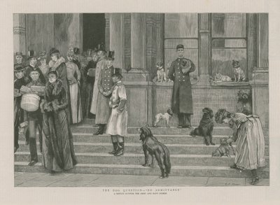 La question du chien - Pas d