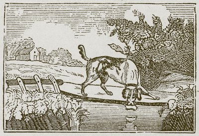 Le chien et l