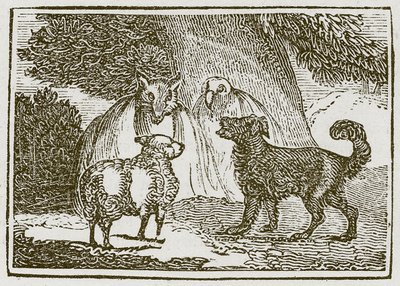 Le chien et le mouton (gravure) - English School