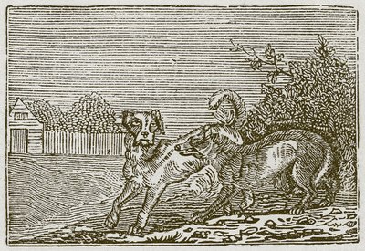Le chien et le loup (gravure) - English School