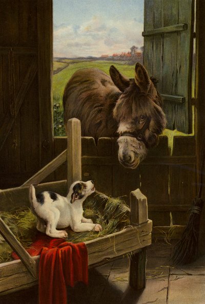Le chien dans la mangeoire - English School
