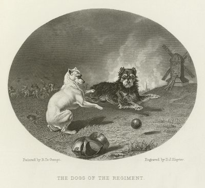 Les chiens du régiment - English School