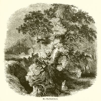 Le Bosquet des Druides - English School