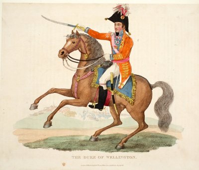 Le Duc de Wellington, publié par Richard Evans, gravé par Romney, illustration de An Historical Account of the Battle of Waterloo par William Mudford, 1816 - English School