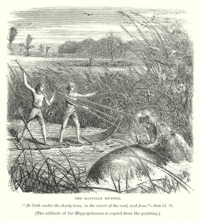 Le chasseur égyptien (gravure) - English School