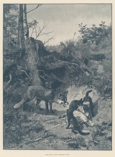 Le destin de notre oie de Noël (gravure) - English School