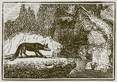 Le renard et le lion malade (gravure) - English School