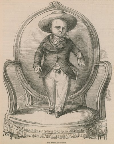 Le nain de Frise - English School