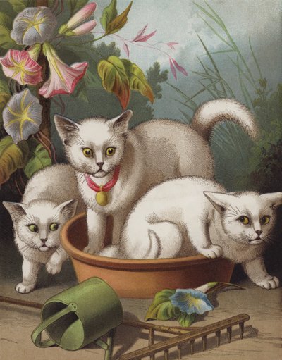 Les chatons effrayés - English School