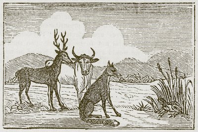 La grenouille et le renard (gravure) - English School