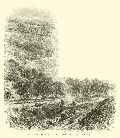 Le Jardin de Gethsémani, depuis les pentes d