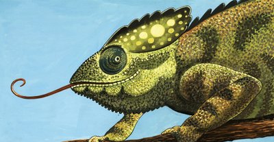 Le Caméléon géant - English School