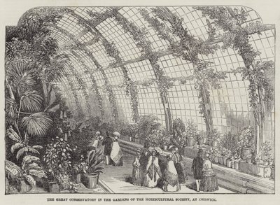 La grande serre dans les jardins de la Société horticole, à Chiswick (gravure) - English School
