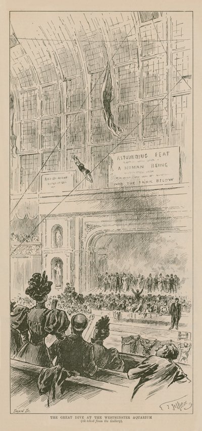 Le Grand Plongeon à l