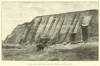 Les lits de guano sur les îles Chincha, Pérou - English School