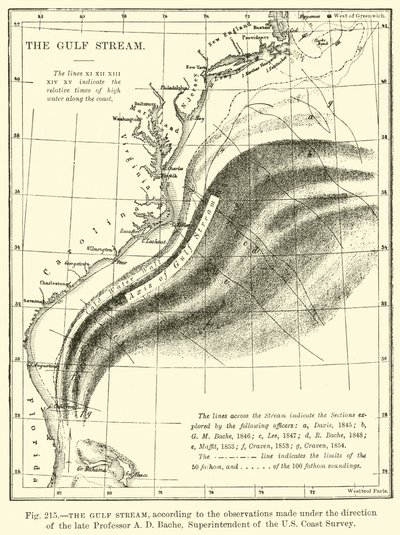 Le Gulf Stream - English School