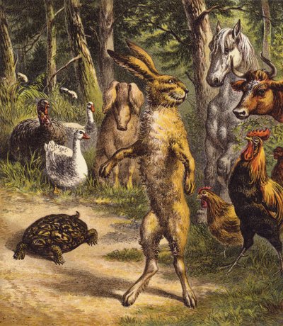 Le lièvre et la tortue - English School