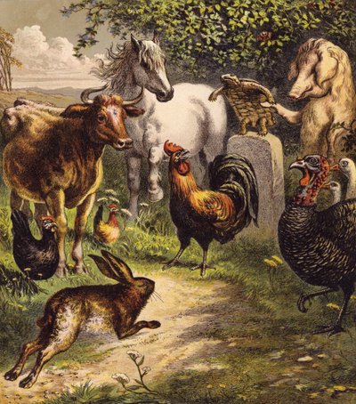 Le lièvre et la tortue - English School
