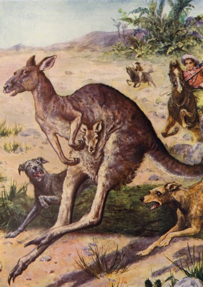 La Chasse - English School