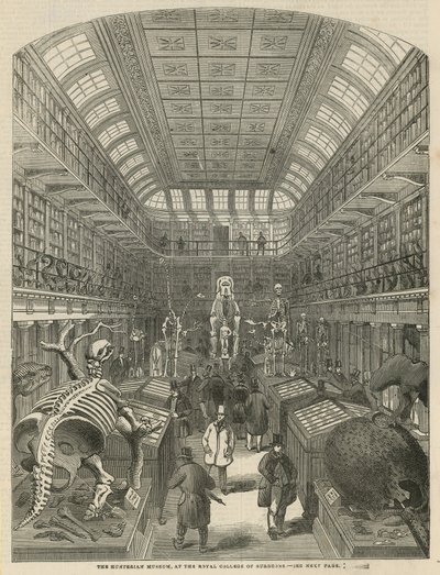 Le Musée Hunterian au Collège Royal des Chirurgiens - English School