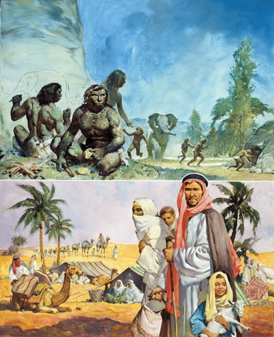 La terre devenue désert - English School