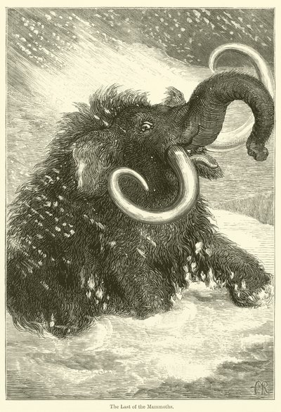 Le dernier des mammouths (gravure) - English School
