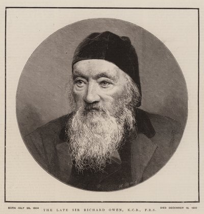Feu Sir Richard Owen, KCB, FRS (gravure) - English School