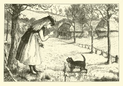 Le chat paresseux - English School