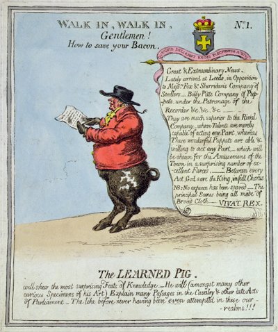 Le cochon savant - English School