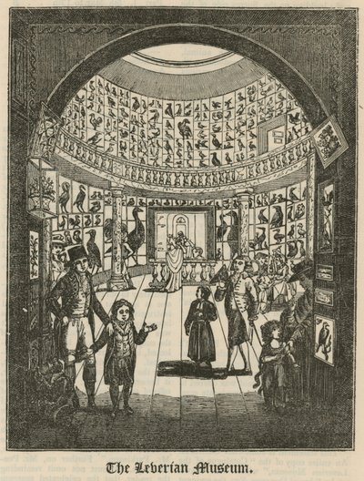 Le musée Leverian - English School